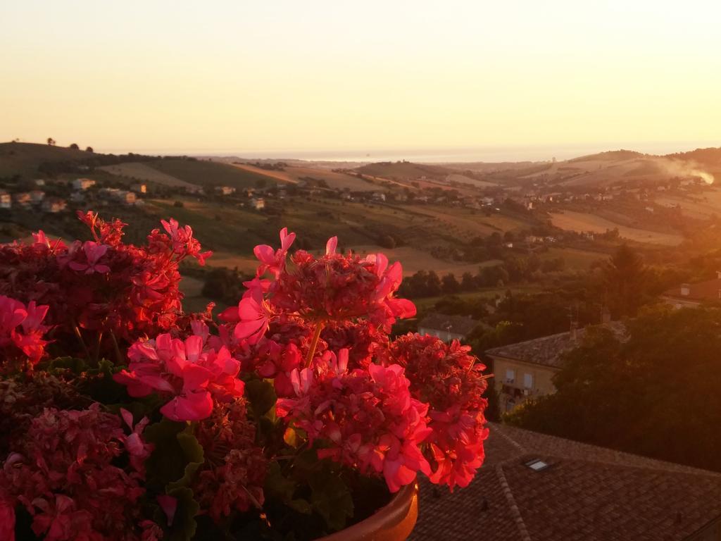 B&B Le Terrazze Fermo Zewnętrze zdjęcie